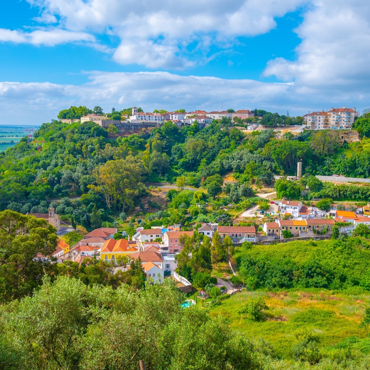 torres novas