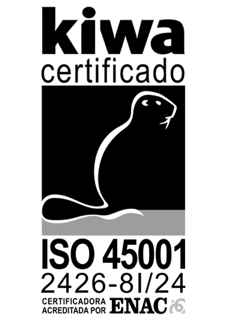 ISO 45001